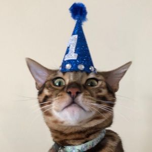 Meet your Posher, Hillary